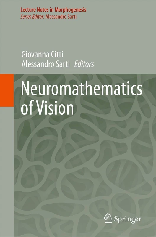 Neuromathematics of Vision (Lecture Notes in Morphogenesis)