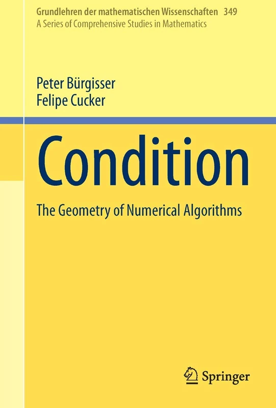 Condition: The Geometry of Numerical Algorithms: 349 (Grundlehren der mathematischen Wissenschaften, 349)