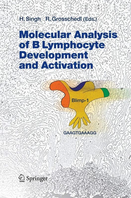 Molecular Analysis of B Lymphocyte Development and Activation: 290 (Current Topics in Microbiology and Immunology)