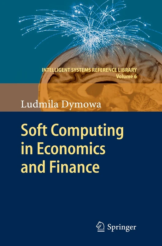 Soft Computing in Economics and Finance: 6 (Intelligent Systems Reference Library, 6)