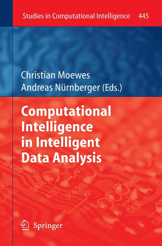 Computational Intelligence in Intelligent Data Analysis: 445 (Studies in Computational Intelligence, 445)