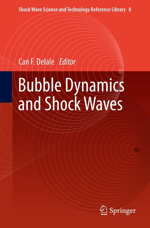 Bubble Dynamics and Shock Waves: 8 (Shock Wave Science and Technology Reference Library, 8)
