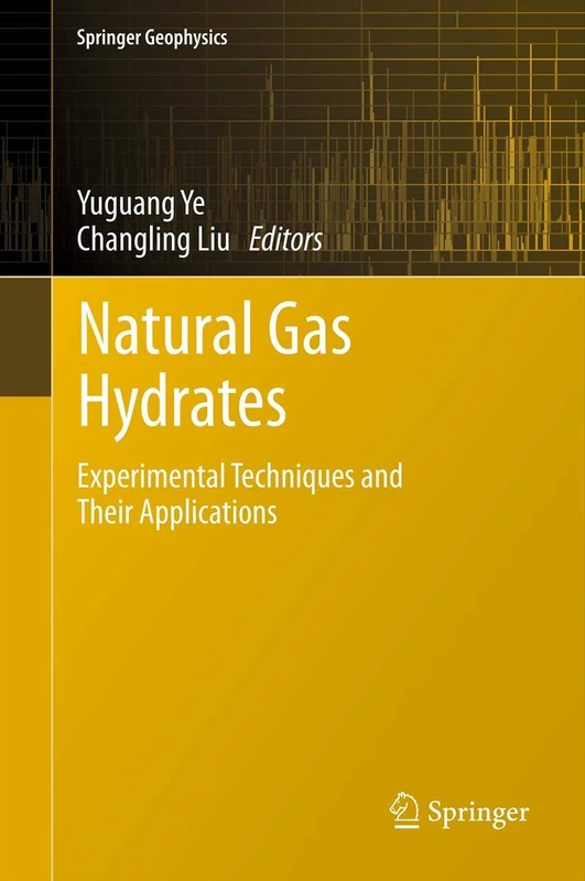 Natural Gas Hydrates: Experimental Techniques and Their Applications (Springer Geophysics)