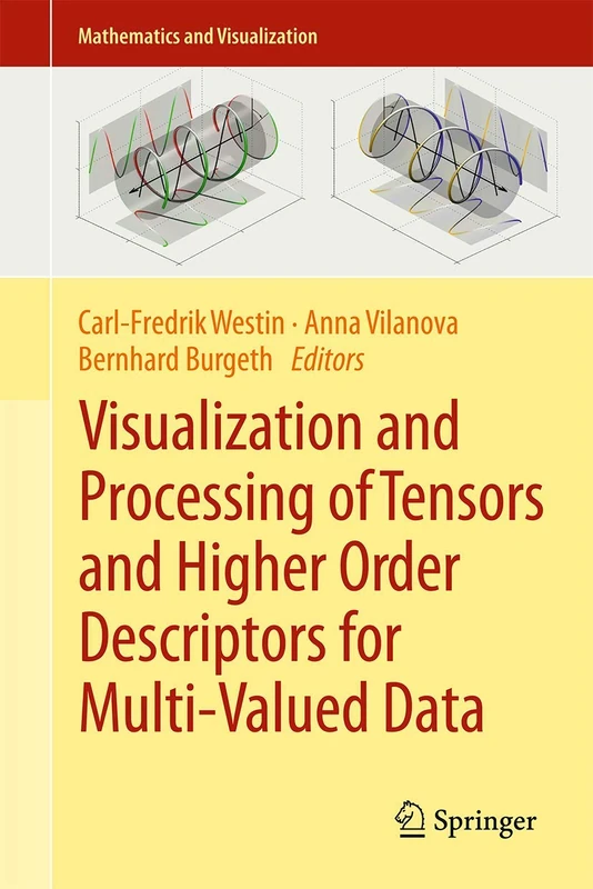 Springer - Visualization and Processing of Tensors Book