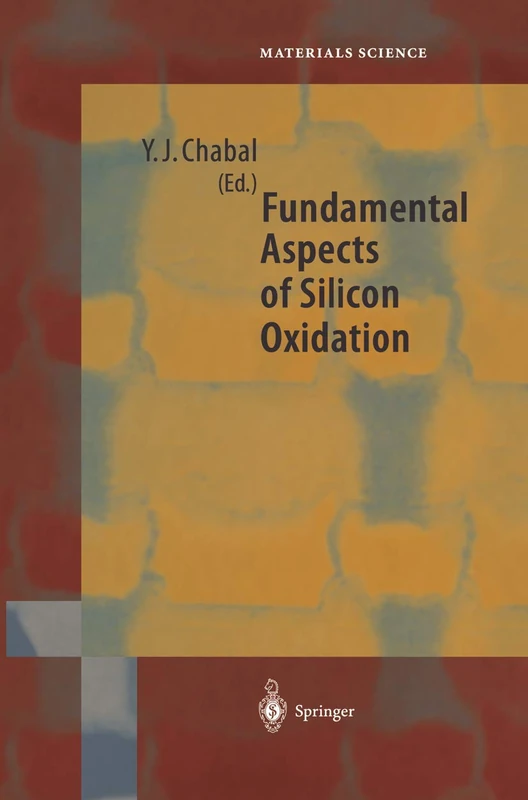 Fundamental Aspects of Silicon Oxidation: 46 (Springer Series in Materials Science, 46)