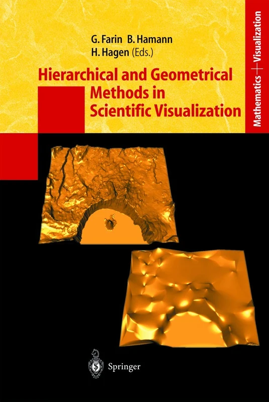 Hierarchical and Geometrical Methods in Scientific Visualization (Mathematics and Visualization)
