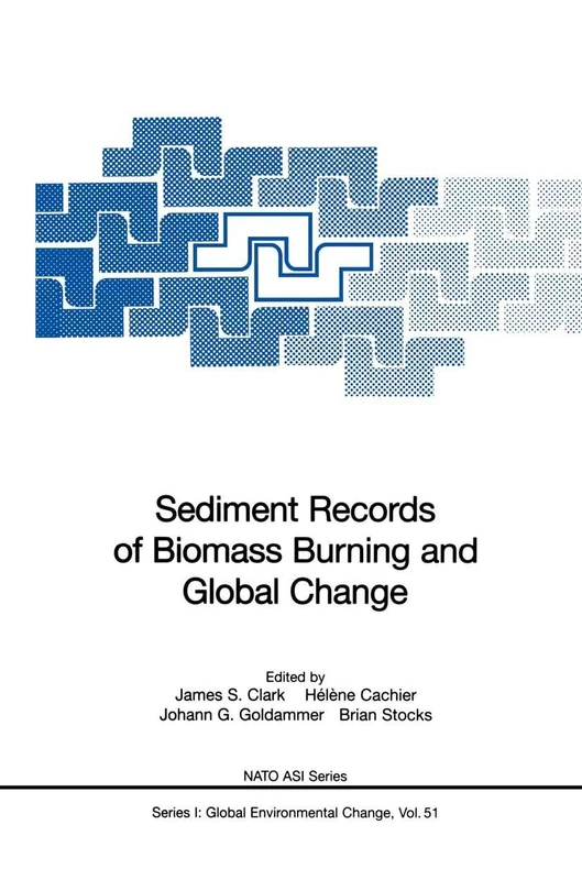 Sediment Records of Biomass Burning and Global Change: 51 (Nato ASI Subseries I:, 51)