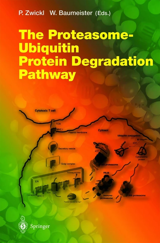 The Proteasome ― Ubiquitin Protein Degradation Pathway: 268 (Current Topics in Microbiology and Immunology, 268)