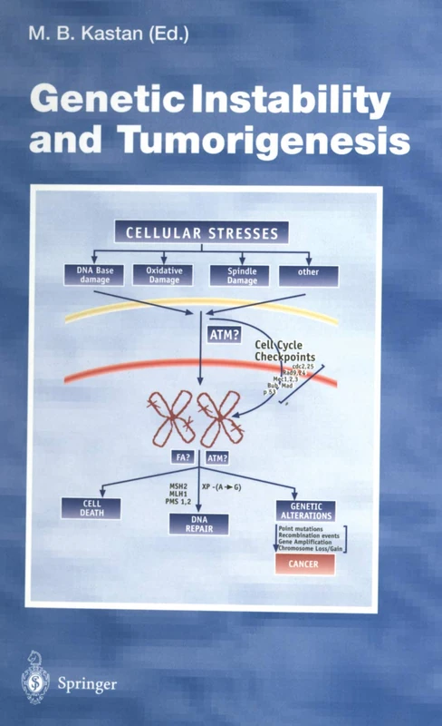Genetic Instability and Tumorigenesis: 221 (Current Topics in Microbiology and Immunology, 221)