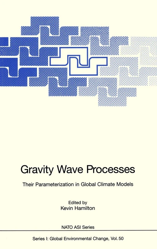 Gravity Wave Processes: Their Parameterization in Global Climate Models: 50 (Nato ASI Subseries I:, 50)