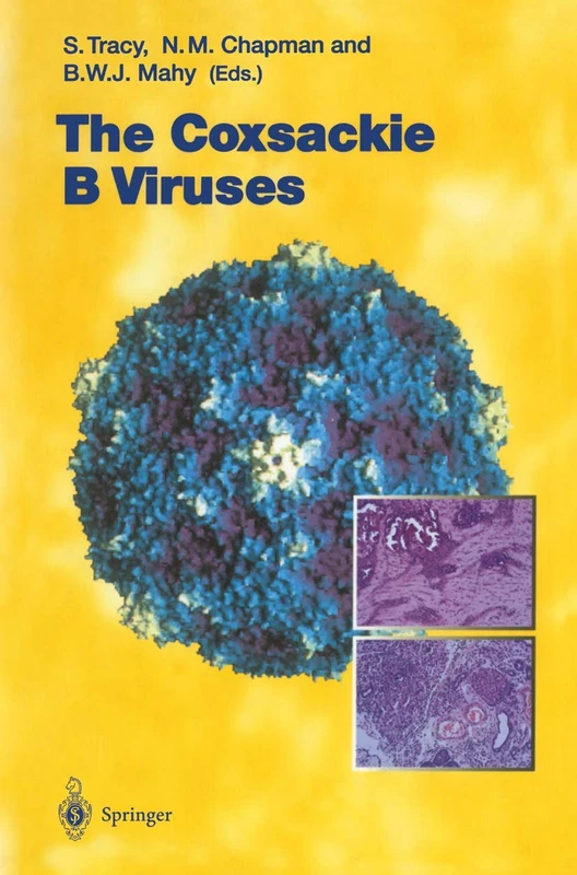 The Coxsackie B Viruses: 223 (Current Topics in Microbiology and Immunology, 223)