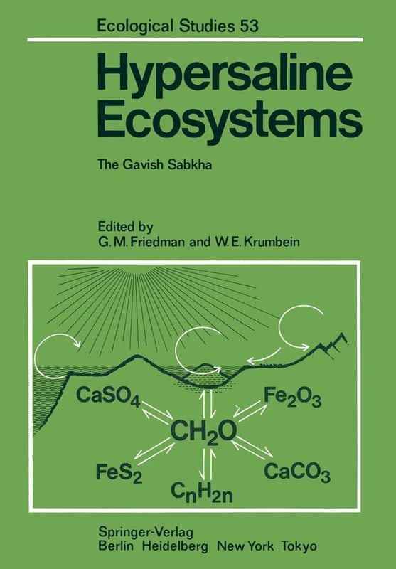 Hypersaline Ecosystems: The Gavish Sabkha: 53 (Ecological Studies, 53) - Image 1
