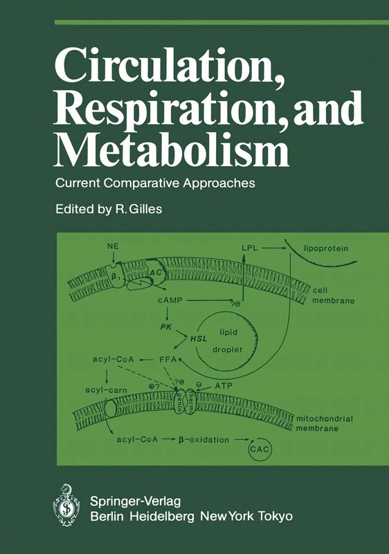 Circulation, Respiration, and Metabolism: Current Comparative Approaches (Proceedings in Life Sciences)