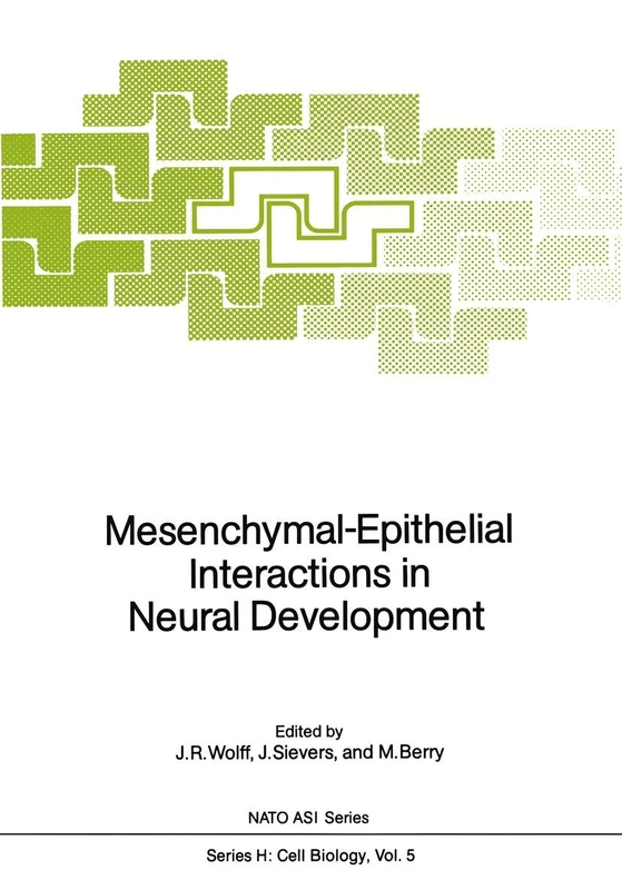 Mesenchymal-Epithelial Interactions in Neural Development: 5 (Nato ASI Subseries H:, 5)