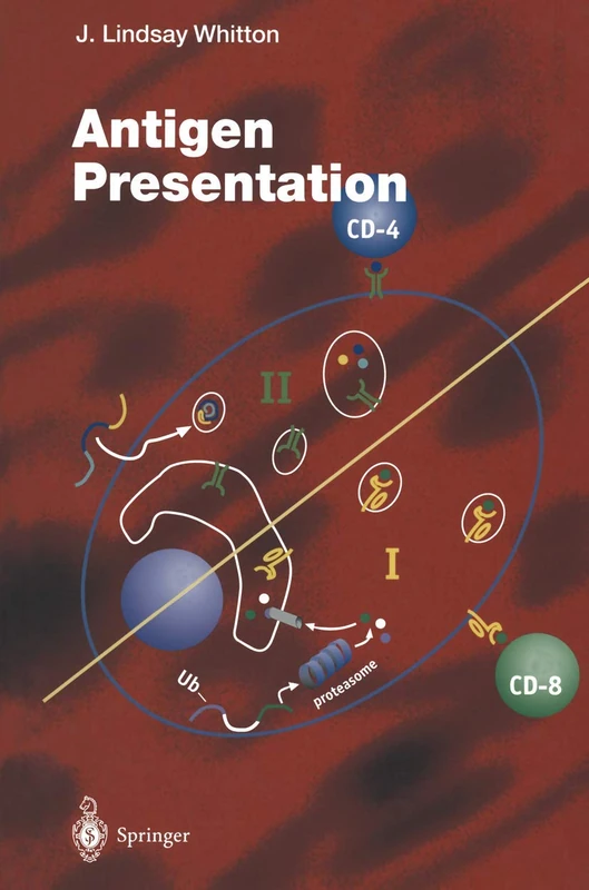 Antigen Presentation: 232 (Current Topics in Microbiology and Immunology, 232)