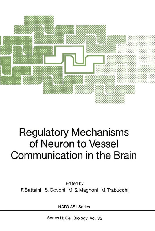 Regulatory Mechanisms of Neuron to Vessel Communication in the Brain: 33 (Nato ASI Subseries H:, 33)