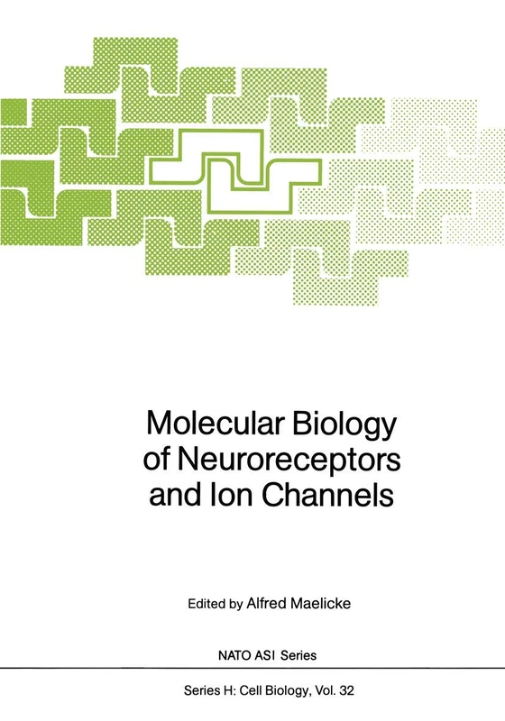 Molecular Biology of Neuroreceptors and Ion Channels: 32 (Nato ASI Subseries H:, 32)