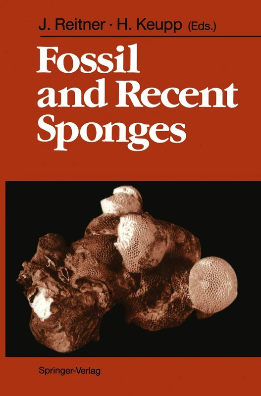 Fossil and Recent Sponges