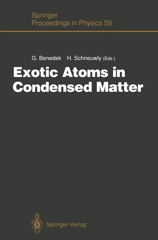 Exotic Atoms in Condensed Matter: Proceedings of the Erice Workshop at the Ettore Majorana Centre for Scientific Culture, Erice, Italy, May 19 – 25, 1990: 59 (Springer Proceedings in Physics, 59)