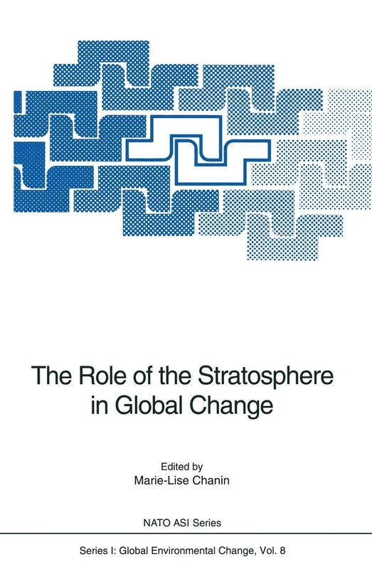 The Role of the Stratosphere in Global Change: 8 (Nato ASI Subseries I:, 8)