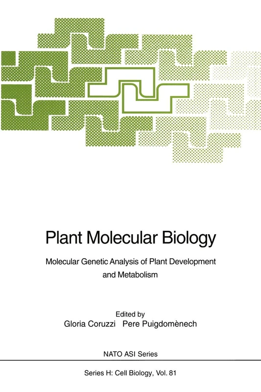 Plant Molecular Biology: Molecular Genetic Analysis of Plant Development and Metabolism: 81 (Nato ASI Subseries H:, 81)