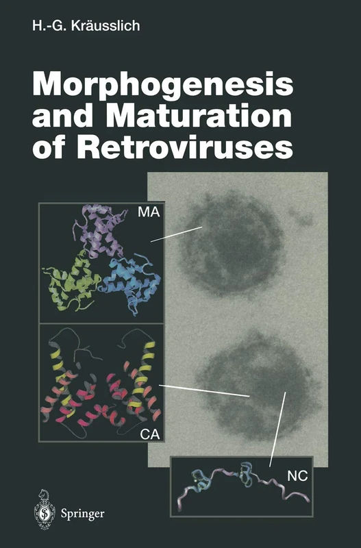 Morphogenesis and Maturation of Retroviruses: 214 (Current Topics in Microbiology and Immunology, 214)