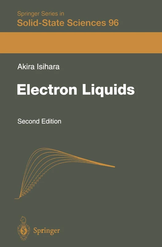 Electron Liquids: 96 (Springer Series in Solid-State Sciences, 96)