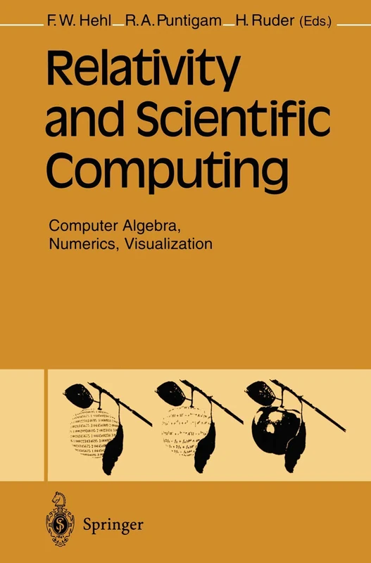 Relativity and Scientific Computing: Computer Algebra, Numerics, Visualization