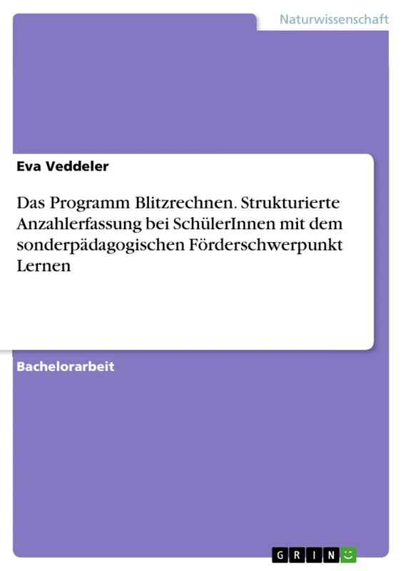 Das Programm Blitzrechnen. Strukturierte Anzahlerfassung bei SchülerInnen mit dem sonderpädagogischen Förderschwerpunkt Lernen - Image 1