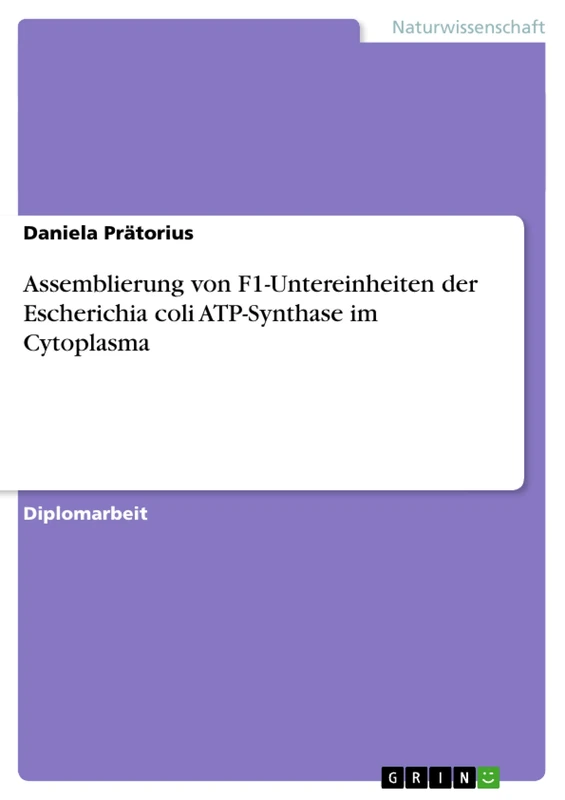 Assemblierung von F1-Untereinheiten der Escherichia coli ATP-Synthase im Cytoplasma - Image 1