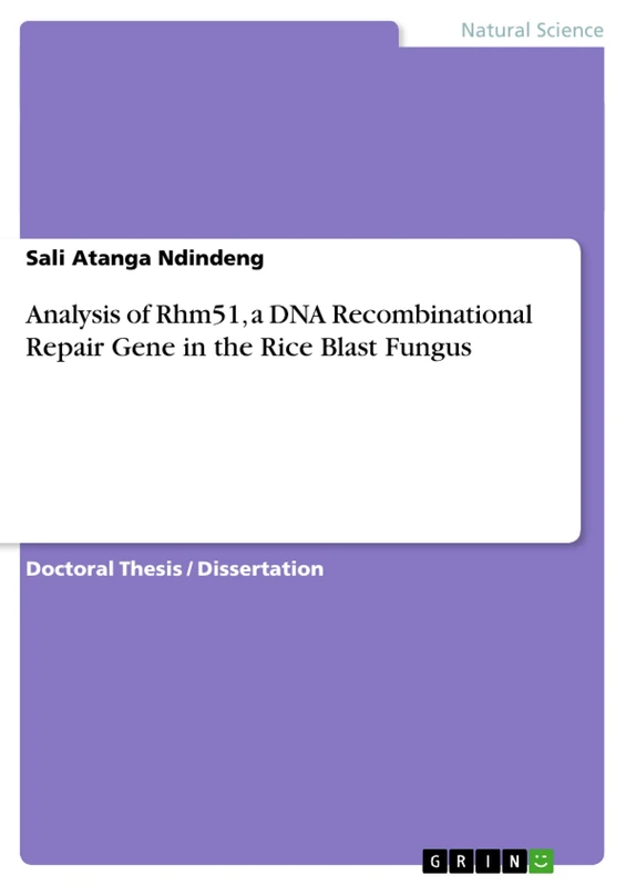 Analysis of Rhm51, a DNA Recombinational Repair Gene in the Rice Blast Fungus - Image 1