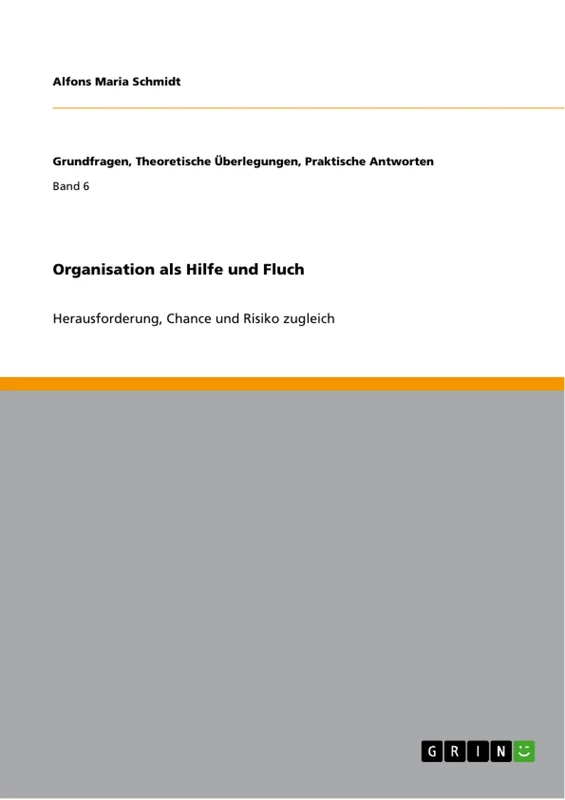 Organisation als Hilfe und Fluch: Herausforderung, Chance und Risiko zugleich