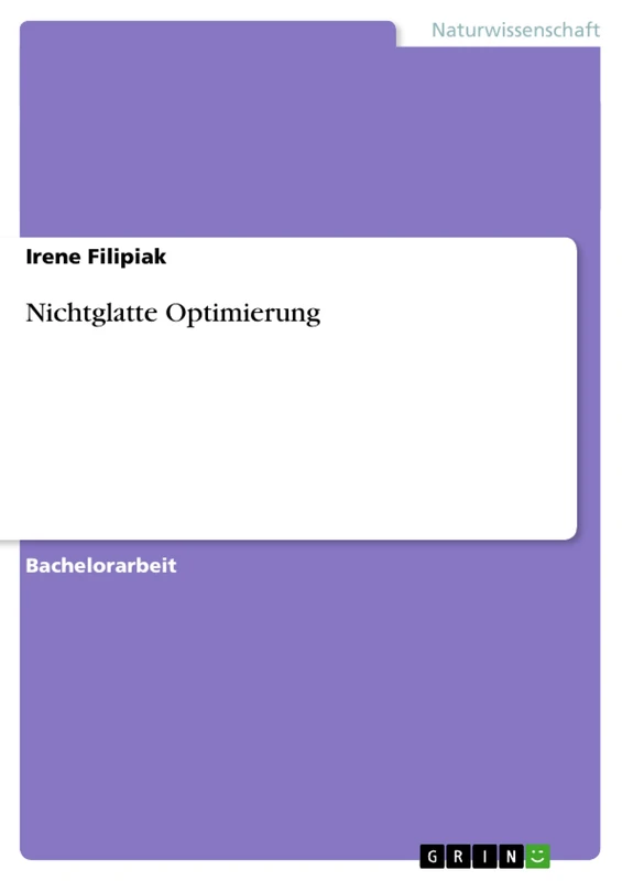Nichtglatte Optimierung - Image 1
