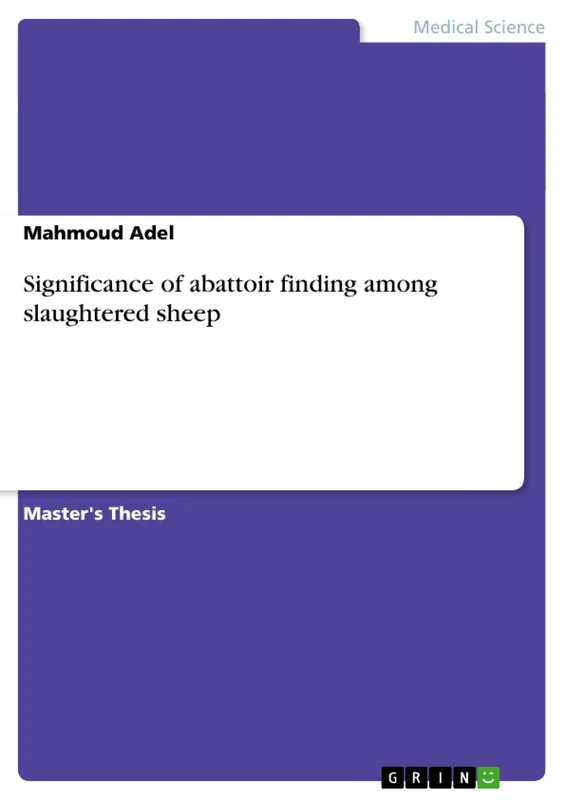 Significance of abattoir finding among slaughtered sheep - Image 1