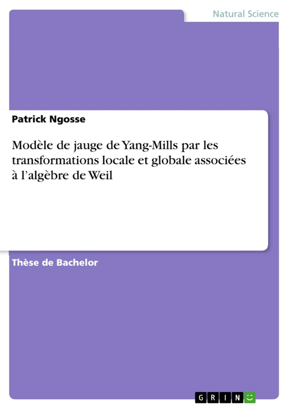 Modèle de jauge de Yang-Mills par les transformations locale et globale associées à l'algèbre de Weil - Image 1