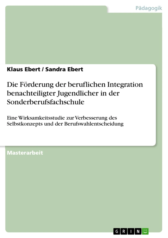 Die Förderung der beruflichen Integration benachteiligter Jugendlicher in der Sonderberufsfachschule: Eine Wirksamkeitsstudie zur Verbesserung des Selbstkonzepts und der Berufswahlentscheidung