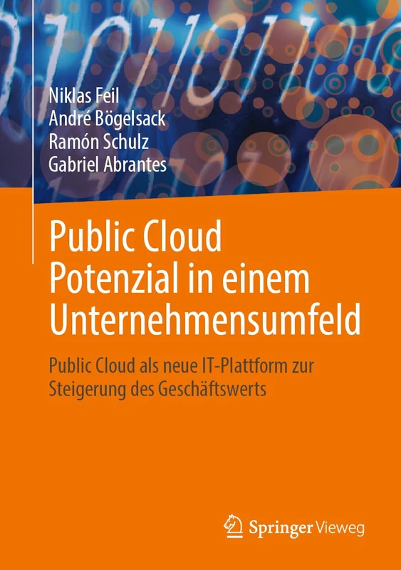 Public Cloud Potenzial in einem Unternehmensumfeld: Public Cloud als neue IT-Plattform zur Steigerung des Geschäftswerts