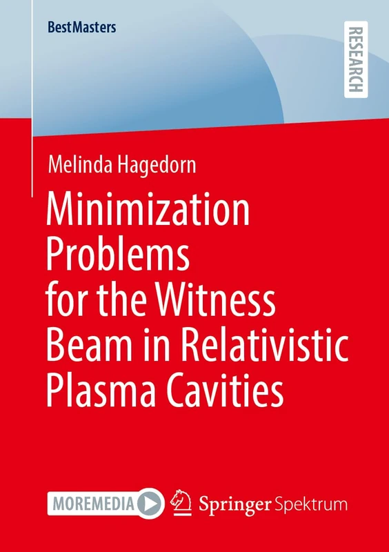 Minimization Problems for the Witness Beam in Relativistic Plasma Cavities (BestMasters)