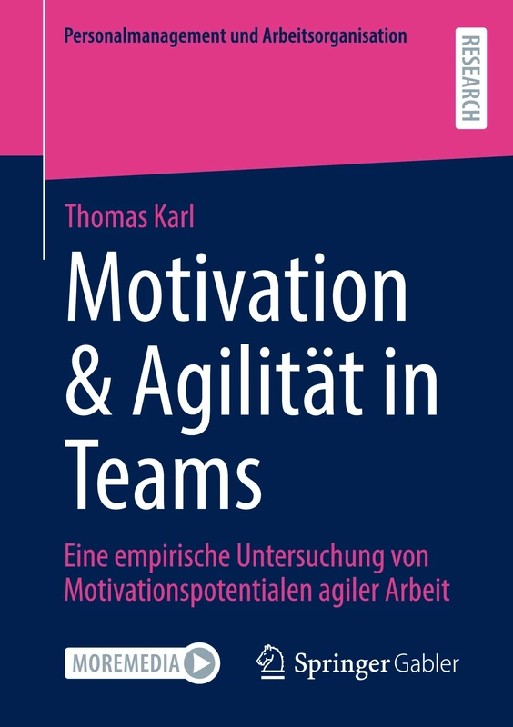 Motivation & Agilität in Teams: Eine empirische Untersuchung von Motivationspotentialen agiler Arbeit (Personalmanagement und Arbeitsorganisation)