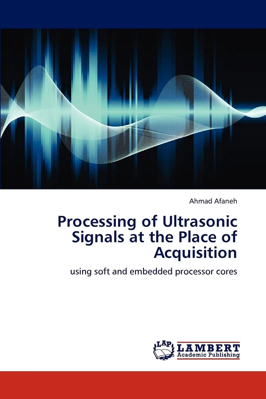 Processing of Ultrasonic Signals at the Place of Acquisition: using soft and embedded processor cores