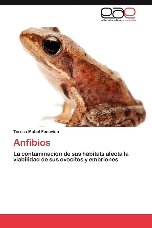 Anfibios: La contaminación de sus hábitats afecta la viabilidad de sus ovocitos y embriones - Image 1