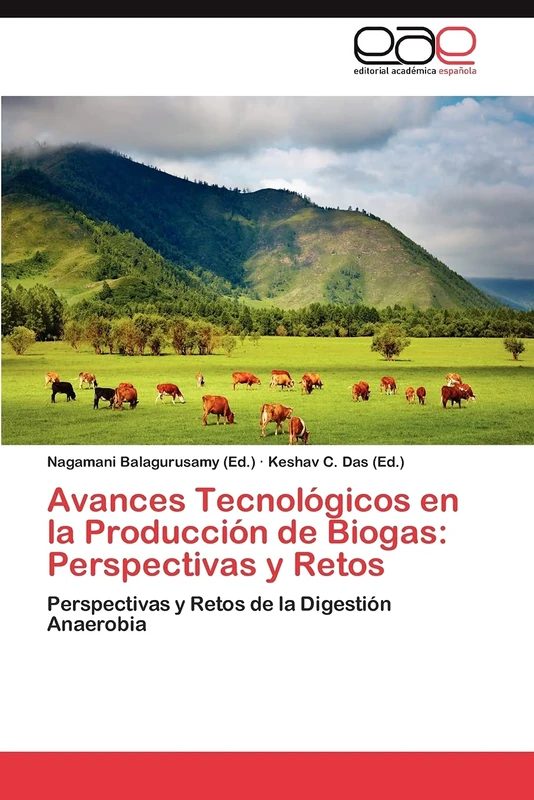 Avances Tecnológicos en la Producción de Biogas: Perspectivas y Retos: Perspectivas y Retos de la Digestión Anaerobia