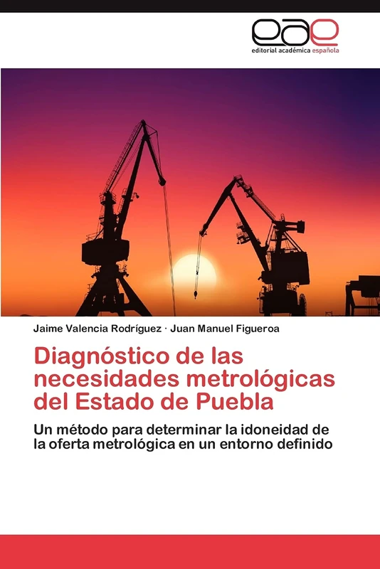 Diagnóstico de las necesidades metrológicas del Estado de Puebla: Un método para determinar la idoneidad de la oferta metrológica en un entorno definido