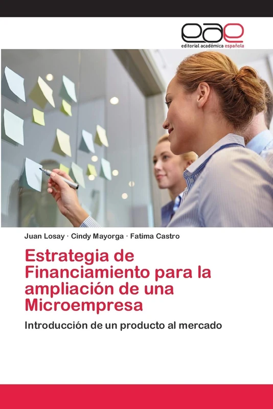 Estrategia de Financiamiento para la ampliación de una Microempresa: Introducción de un producto al mercado - Image 1
