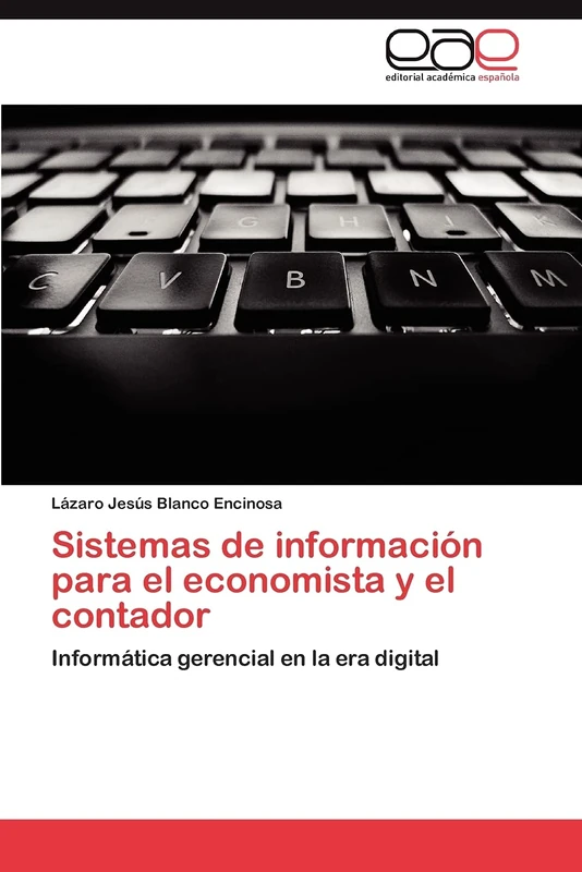 Sistemas de información para el economista y el contador: Informática gerencial en la era digital