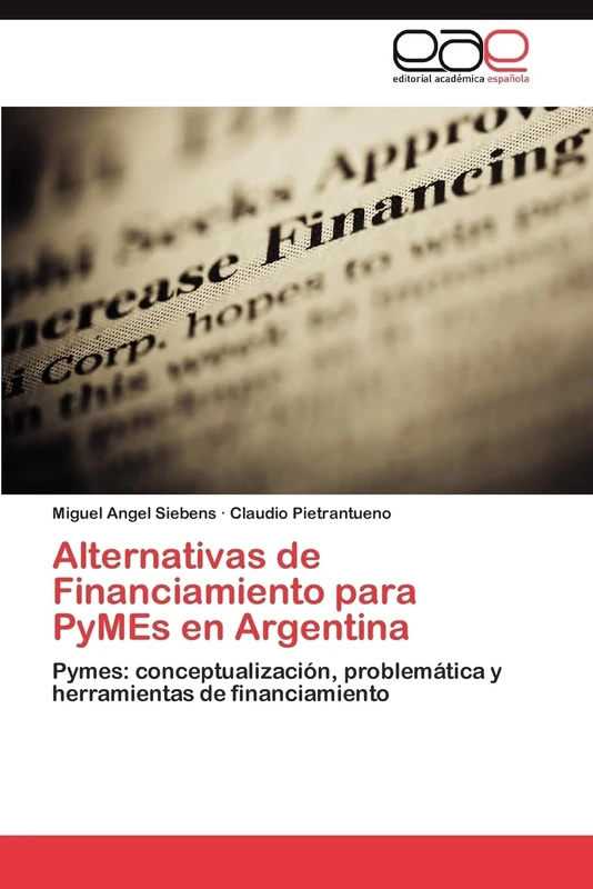 Alternativas de Financiamiento para PyMEs en Argentina: Pymes: conceptualización, problemática y herramientas de financiamiento - Image 1