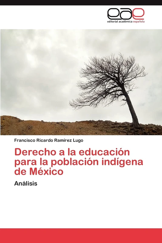 Derecho a la educación para la población indígena de México: Análisis