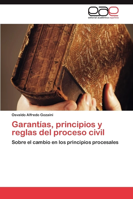 Garantías, principios y reglas del proceso civil: Sobre el cambio en los principios procesales