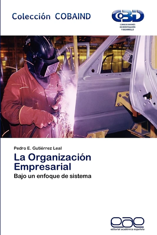 La Organización Empresarial: Bajo un enfoque de sistema - Image 1