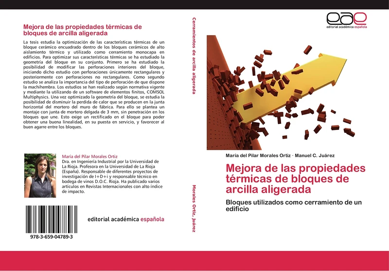 Mejora de las propiedades térmicas de bloques de arcilla aligerada: Bloques utilizados como cerramiento de un edificio - Image 1